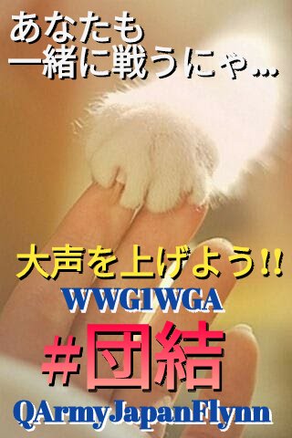 大声をあげろ‼️悪を許すな‼️
大声をあげろ‼️悪を許すな‼️
大声をあげろ‼️悪を許すな‼️

#QAJF
#QAJFsoc