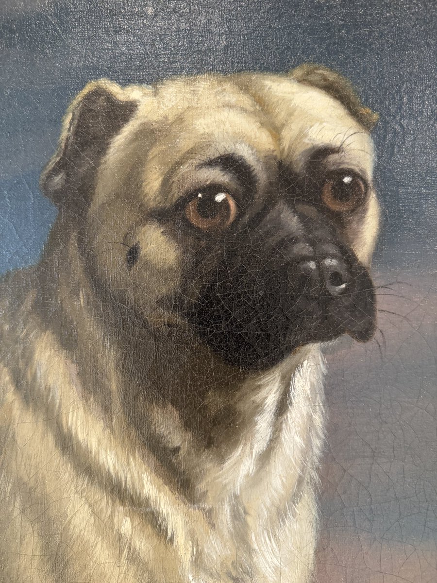 So this is what #pugs looked like in the late 18th / early 19th century… Richard Ramsay Reinagle (English, 1775-1862) Pug, n.d. oil on canvas @akcMOD collection #DogsInArt