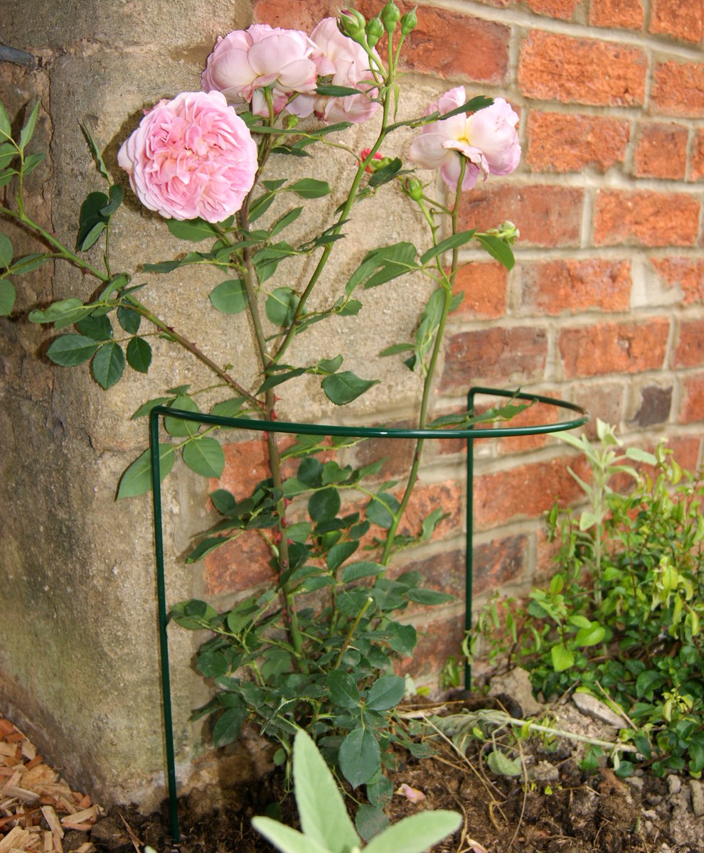 We are a proud producer of #handmade #British #solidsteel plant supports & have been helping create beautiful gardens for 40 years. Our solid steel #plantsupports help prevent your taller plants from drooping & offer protection against strong winds, oh & they look fantastic too!