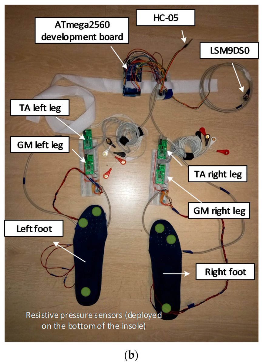 Biosensors_MDPI's tweet image. #Article
Proof of Concept in Artificial-Intelligence-Based Wearable Gait Monitoring for Parkinson’s Disease Management Optimization by Robert Radu Ileșan, et al.
doi.org/10.3390/bios12…

@MDPIOpenAccess @ChemMatSci_MDPI @utcluj
#biomedicalmonitoring #electromyography #openaccess