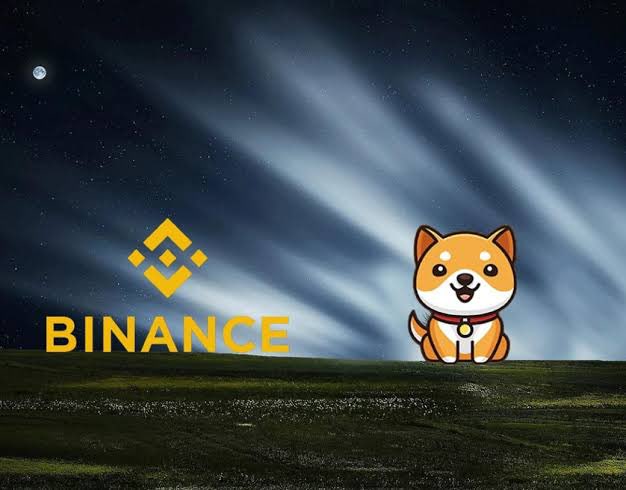 Day 67: of asking #Binance  to list #Babydoge. Let's make it happen! 🚀🐶 #Babydogearmy