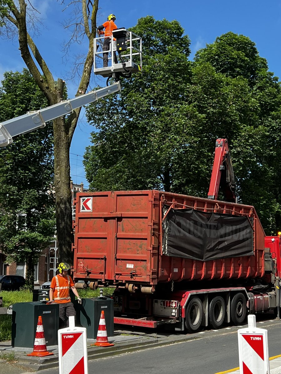 Bomen snoeien in het broedseizoen en gooien het van grote hoogte in bak. @gemeentedenhaag <a href="/bomenstdenhaag/">Bomenstichting Den Haag</a>