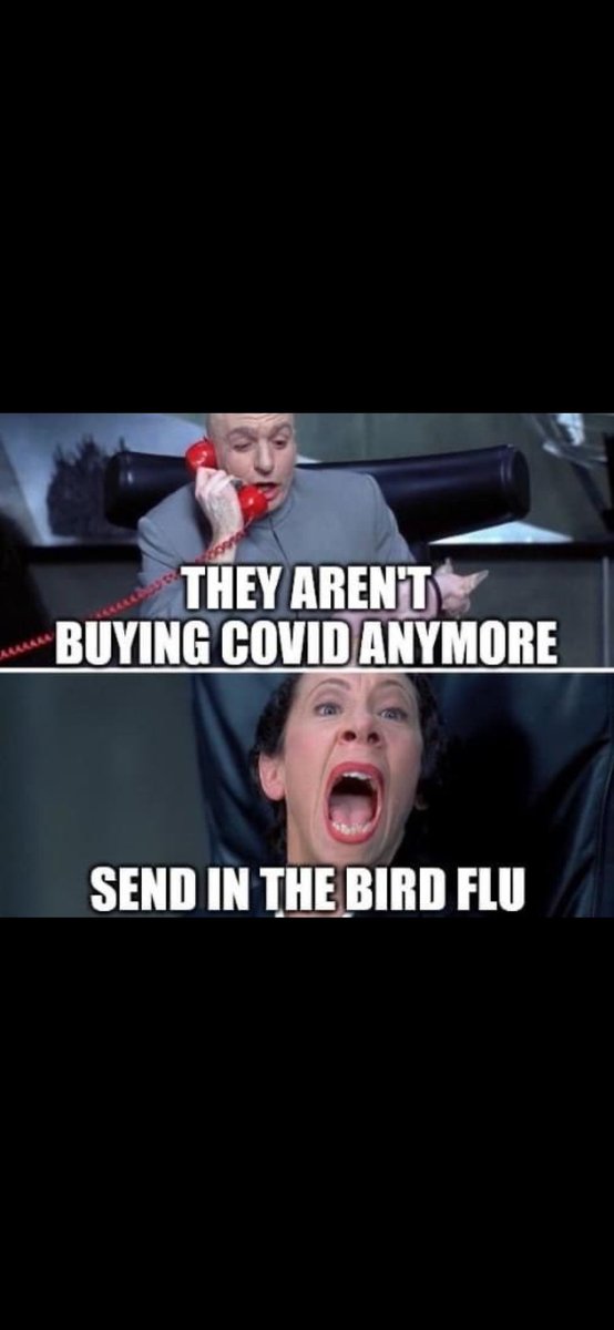 Smilja77's tweet image. 