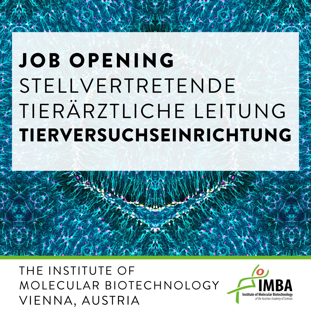 We are #hiring! The IMBA / IMP Comparative Medicine Facility has an exciting opportunity for a deputy veterinary director. Come lead a team that conducts basic biomedical research and supports researchers from 20 scientific research groups. Apply here: imba.onlyfy.jobs/job/sns59gtm