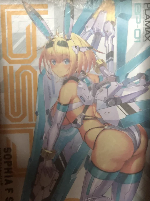 やべー…同じプラモ別々のサイトで二つ予約してたわ〜 