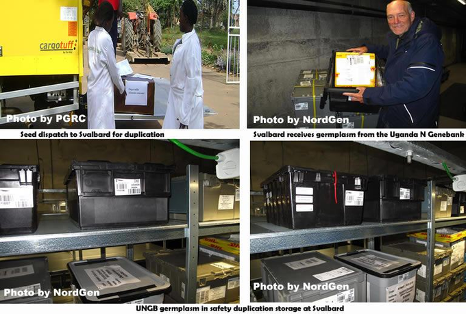 Plant Genetic Resources Centre (@plant_genetic) on Twitter photo 