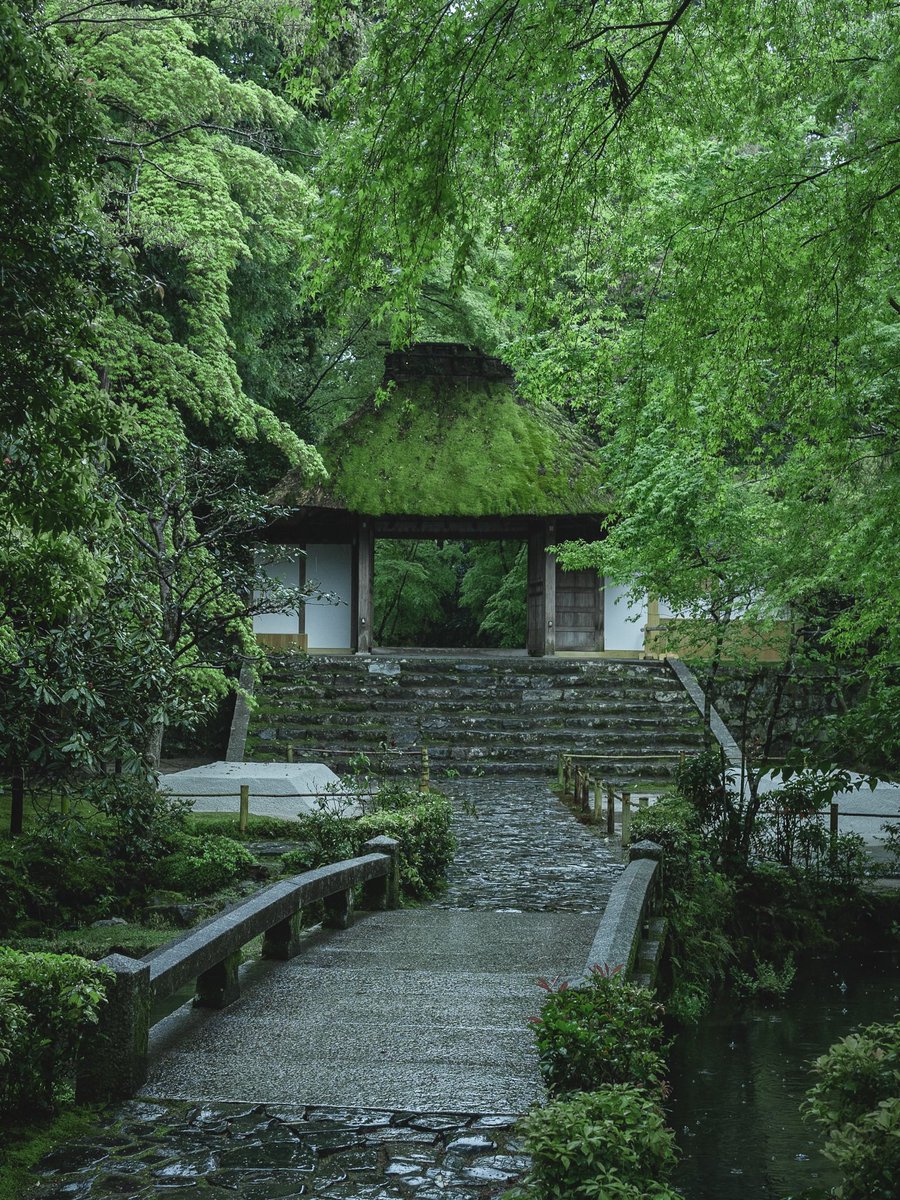 雨の京都 法然院
