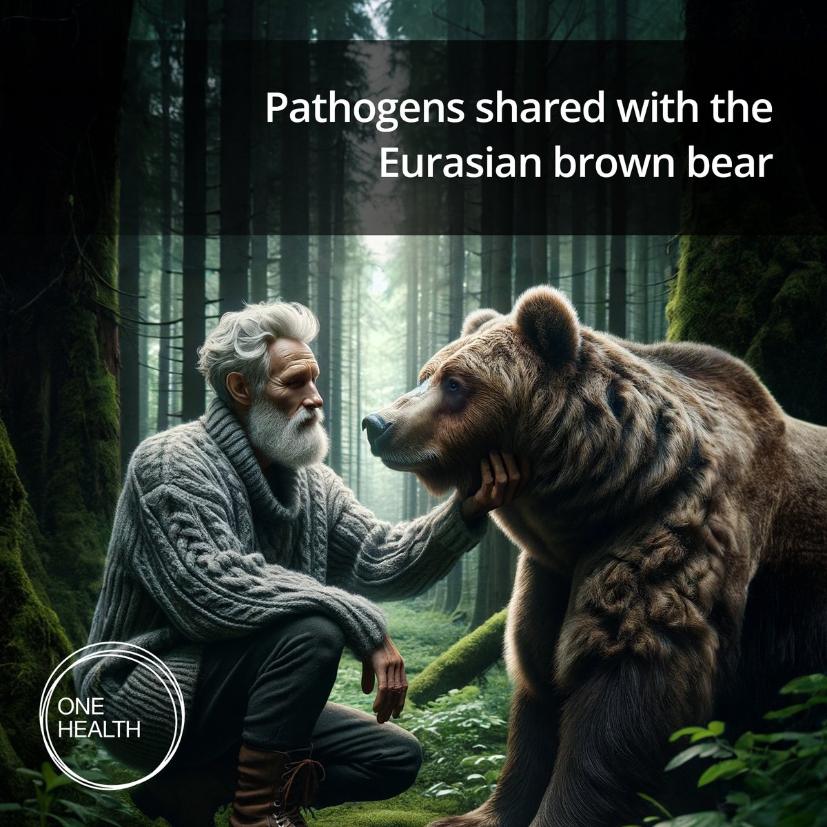Non-invasive surveillance of shared pathogens in the Eurasian brown bear (Ursus arctos) human interface
One Health <a href="/ElsevierVetNews/">ElsevierVetNews</a> <a href="/ELSPublicHealth/">Elsevier Public Health</a> 
doi.org/10.1016/j.oneh…