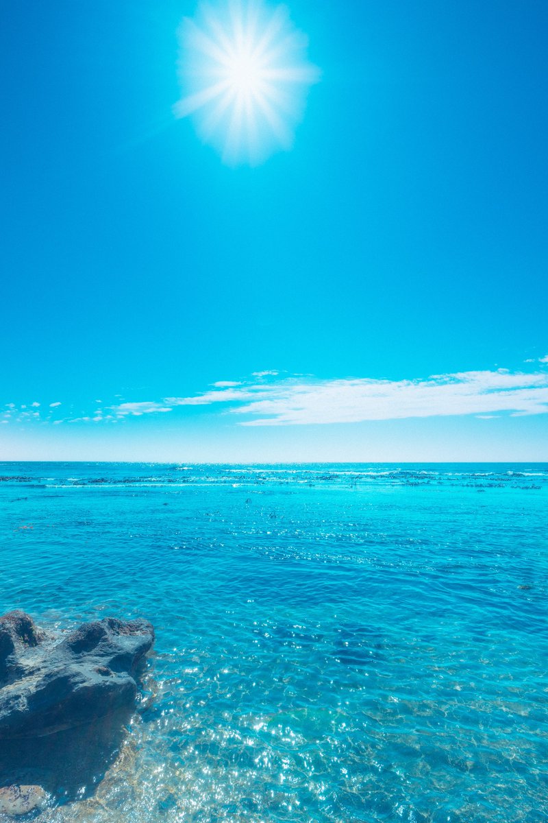 透き通った清々しい初夏