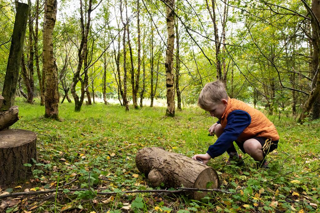 Dive into the world of #nature with a #Wildlife #Explorer Backpack! 🎒🔍

Packed with a #bughunting kit and #engaging #activity sheets, let your little ones explore, and discover the wonders of the outdoors.

Get yours today from the Visitor Centre or #LittleOwlCafe!
#Family