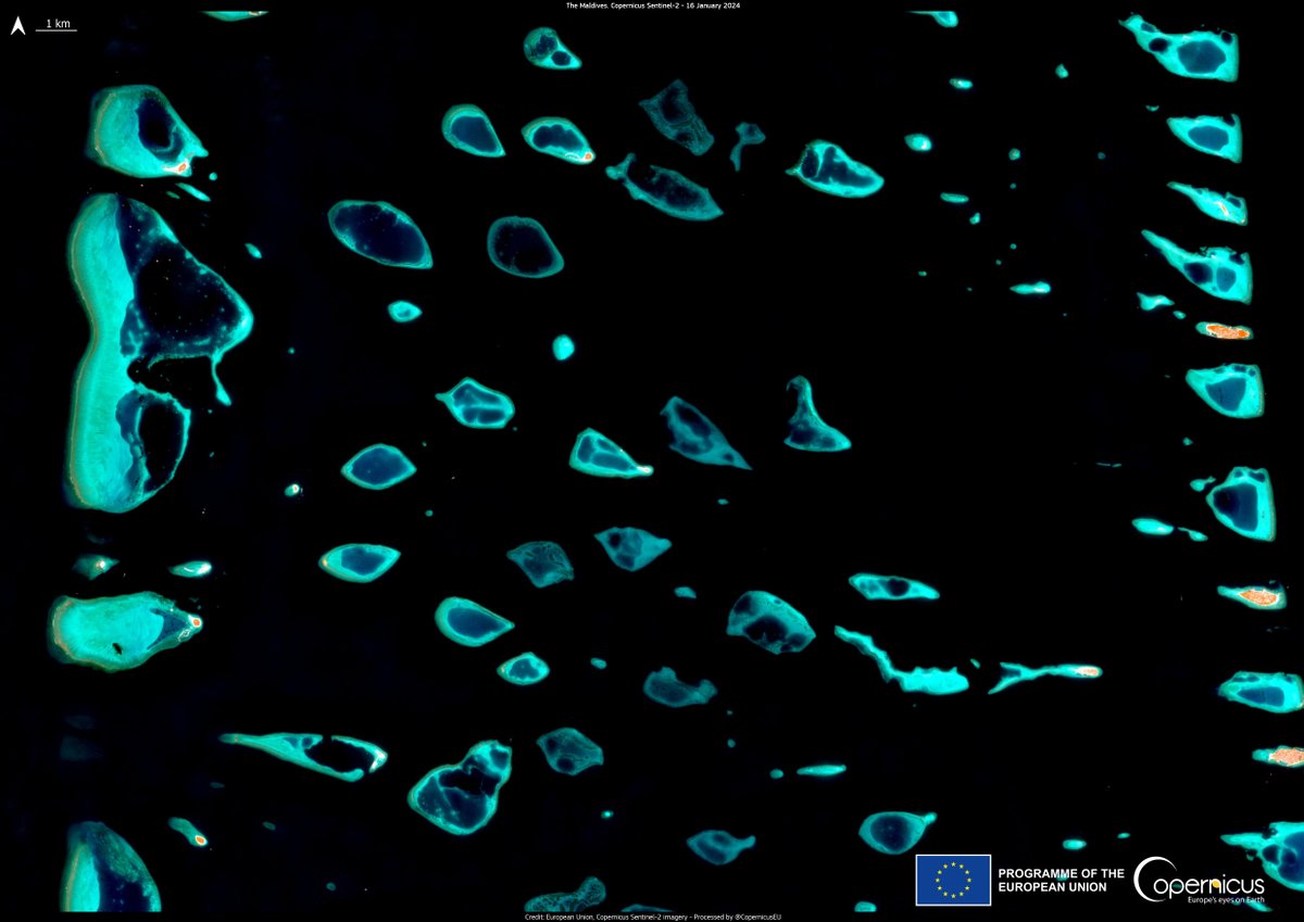 #DYK❓ Coral reefs are natural barriers that protect coastlines from land erosion & storms, making them key to many coastal communities

#CopernicusMarine helps identify areas at risk from ocean shifts, while also highlighting the impact of pollution & overfishing on corals 🪸