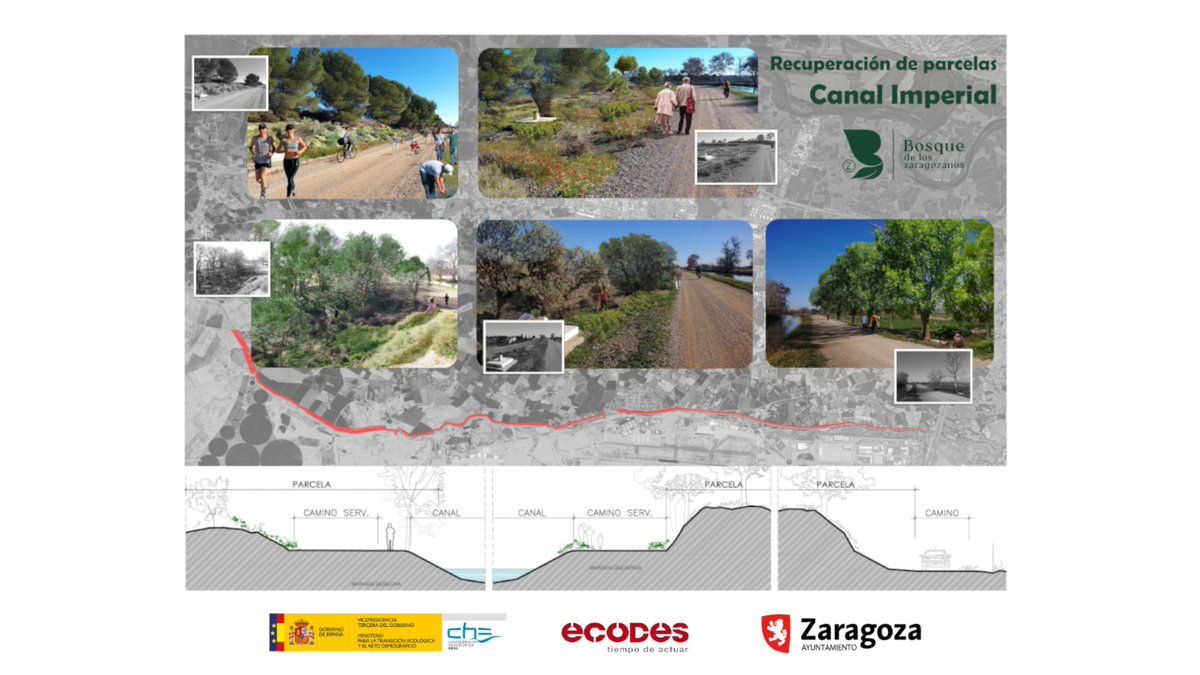 El @BosqueZgz renaturalizará el Canal Imperial en el entorno de Garrapinillos y Valdegurriana, con plantaciones en 66 hectáreas. Para ello, hemos suscrito un protocolo para la cesión del uso de espacio con @CH_Ebro. Las primeras plantaciones comenzarán en otoño para mejorar el