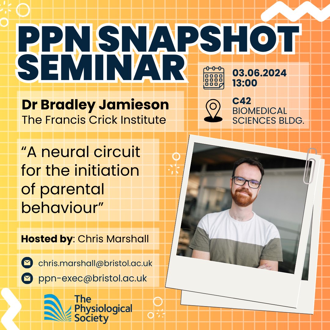 Join us at 13:00 on Monday 3rd June in C42 of BSB for Dr Bradley Jamieson's Snapshot Seminar <a href="/BradlesJ/">Bradley Jamieson</a> 

"A neural circuit for the initiation of parental behaviour" 🧠🔬

For more info:
<a href="/UoBPPN/">University of Bristol School of PPN</a> <a href="/bjalsio/">Johan Alsiö</a> <a href="/RobinCorey1/">Robin Corey @robincorey.bsky.social</a>

Sponsored by <a href="/ThePhySoc/">The Physiological Society</a>

#UoBPPN #PPNSnaps #ThePhySoc