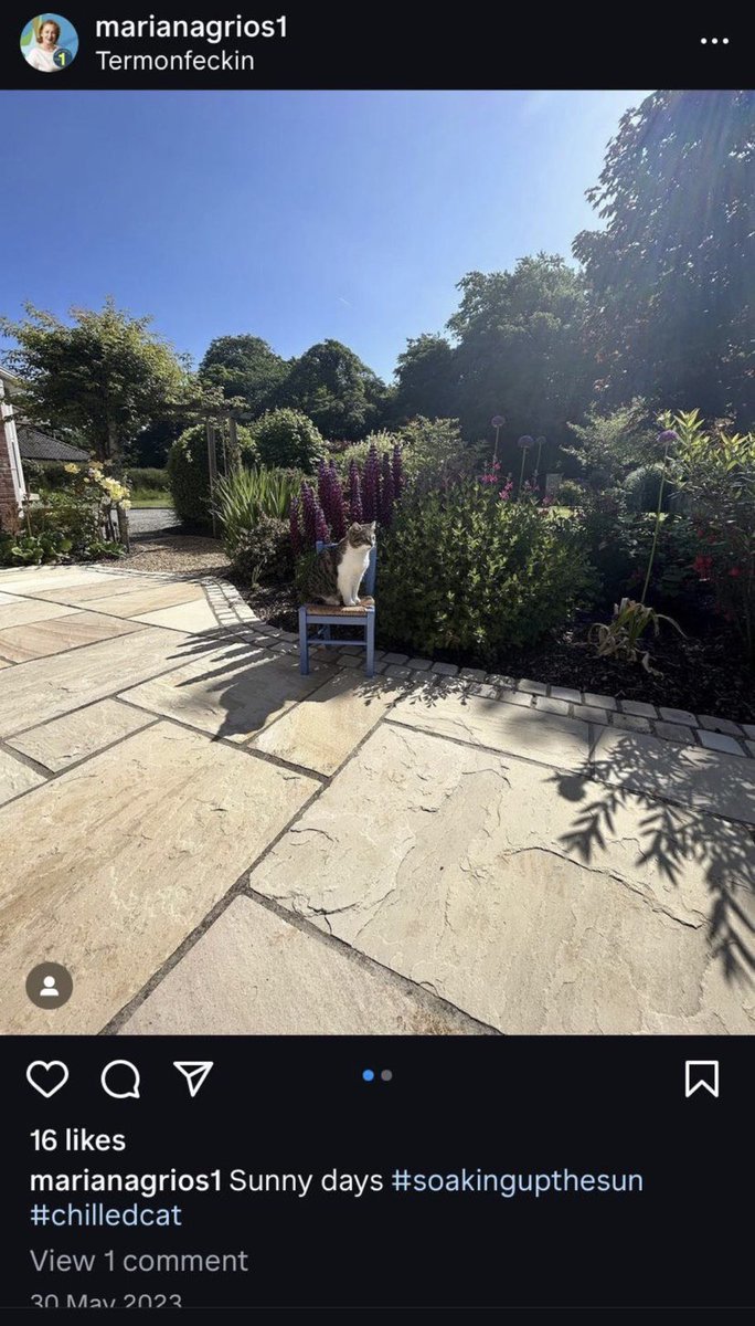 Fine Gael local election candidate Marian Agrios yesterday evening deleted Instagram posts showing the new sandstone patio she demanded from a property developer as part of a €30,000 package she got for withdrawing a planning objection. 

Story in post below ⬇️