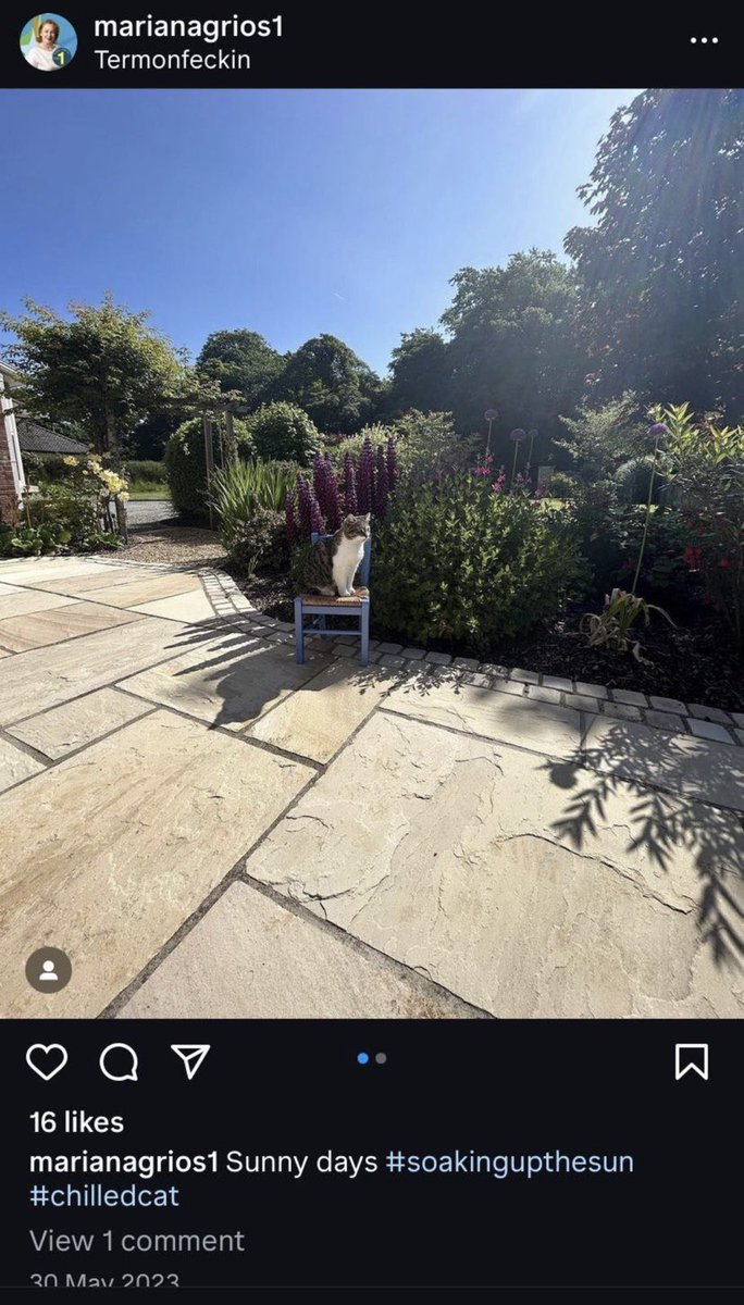 wereontheditch's tweet photo. Fine Gael local election candidate Marian Agrios yesterday evening deleted Instagram posts showing the new sandstone patio she demanded from a property developer as part of a €30,000 package she got for withdrawing a planning objection. 

Story in post below ⬇️ https://t.co/Sx9iA9757P