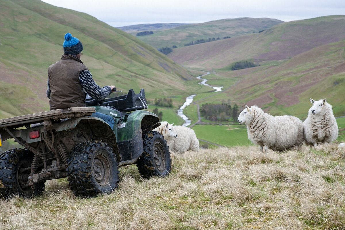 Northumberland National Park has an opportunity to work alongside farmers and landowners, supporting them to access funding streams as part of the DEFRA Farming in Protected Landscapes Funding Programme, as a support officer.

More details in comments.

#greenjobs #Farming