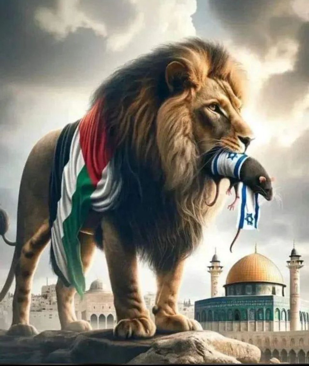 Hassan AI Hasan (@hassanaihasan2) on Twitter photo 