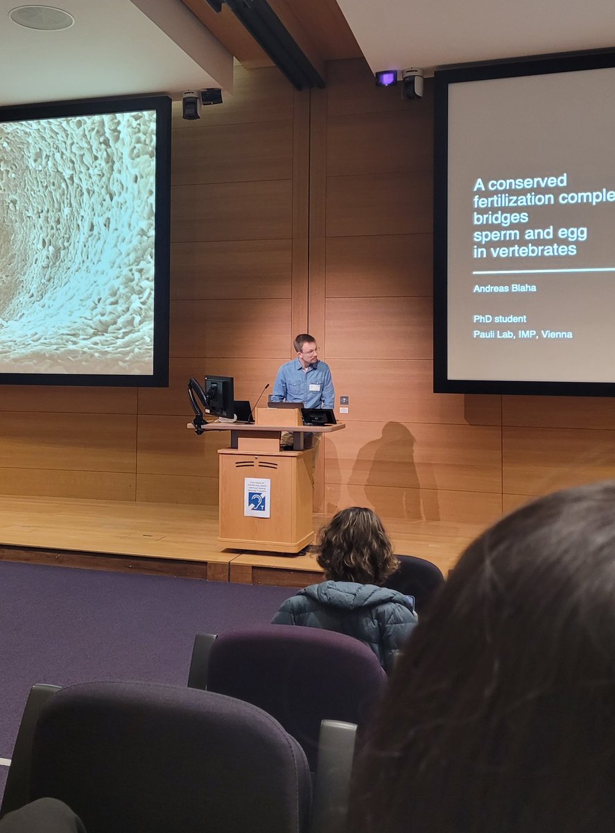 🎤 Conserved yet specific vertebrate fertilisation 🎤 

Join us for our next short talk by Andreas Blaha from the Institute of Molecular Pathology (IMP) discusses the “Conserved fertilisation complex bridges sperm and egg in vertebrates”. 

#YEN2024 #YEN24