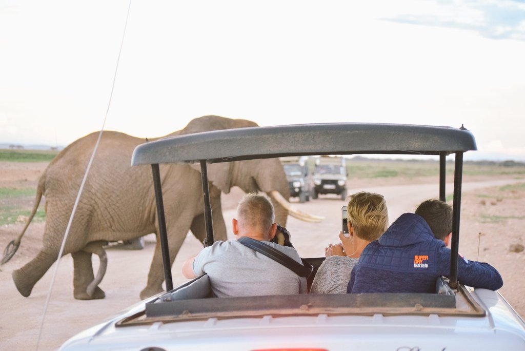 @KWSKenya Witness the grandeur of Africa's gentle giants up close. Join us on an unforgettable adventure! 🐘 #WildlifeSafari #Ramjasafaris #Amboselinationalpark