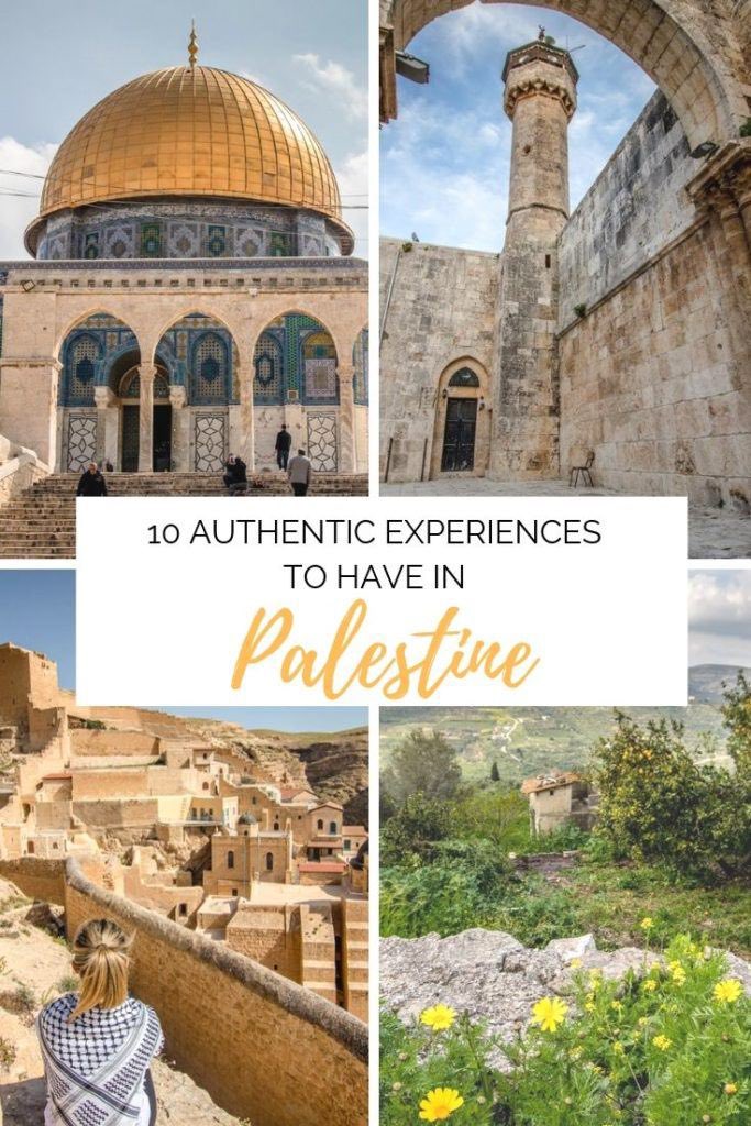 Palestine❤️‍🔥🥺👍🏻🇵🇸
فلسطين 🍉🇵🇸