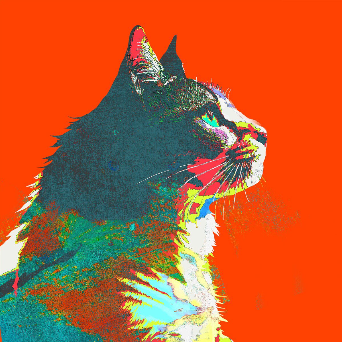 매일 자켓 고양이로 한 이유가 스태프가 매일을 듣고 <고양이춤> 같은 곡이라고 했는데 켄시가 그냥 머릿속에 ‘고양이 같다’는 말만 남아서 고양이를 그린거래 ㅋㅋㅋㅋㅋㅋㅋ