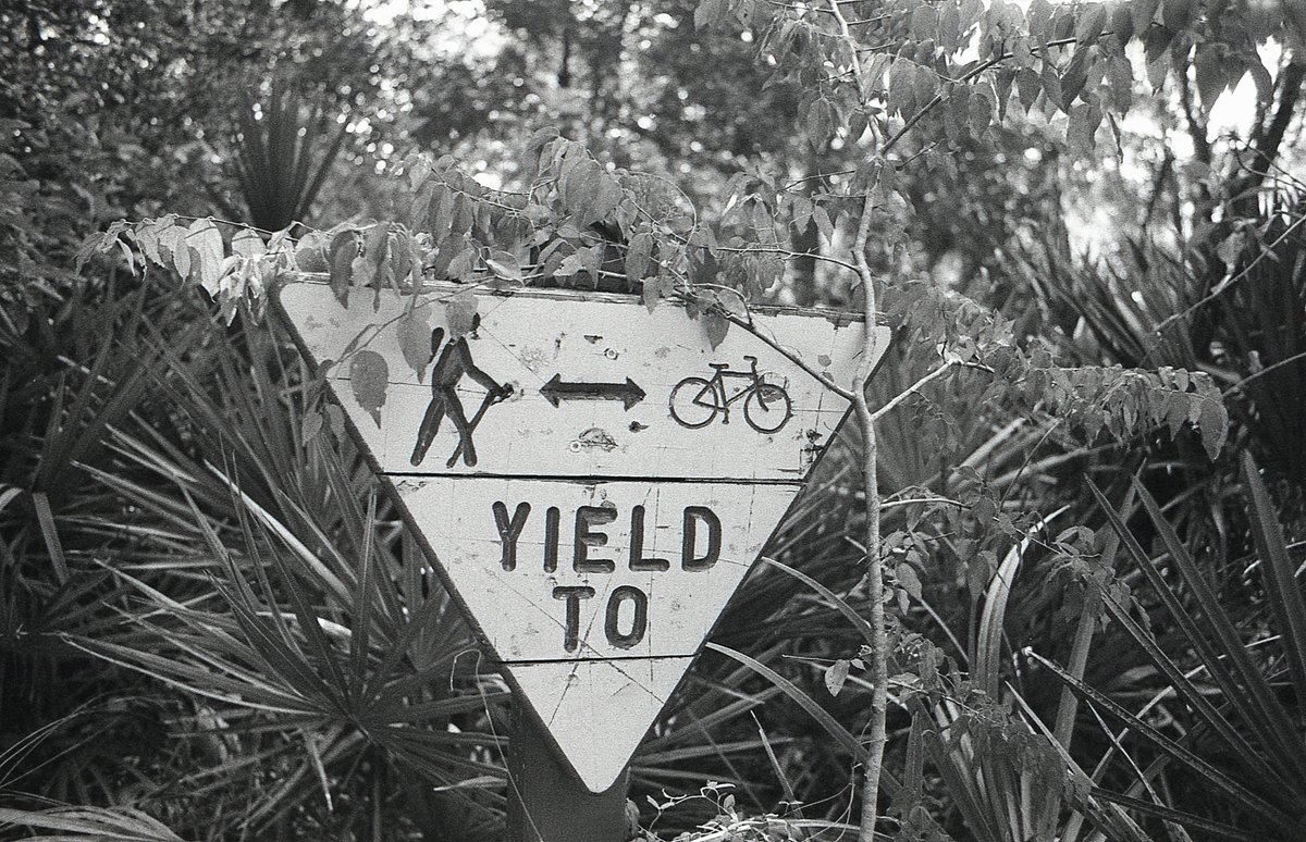 Yield 
Minolta 650si
Agfa APX 400 expired 2010
Slightly pulled to iso 320
Legacy Pro L110 1+40
8 minute development time