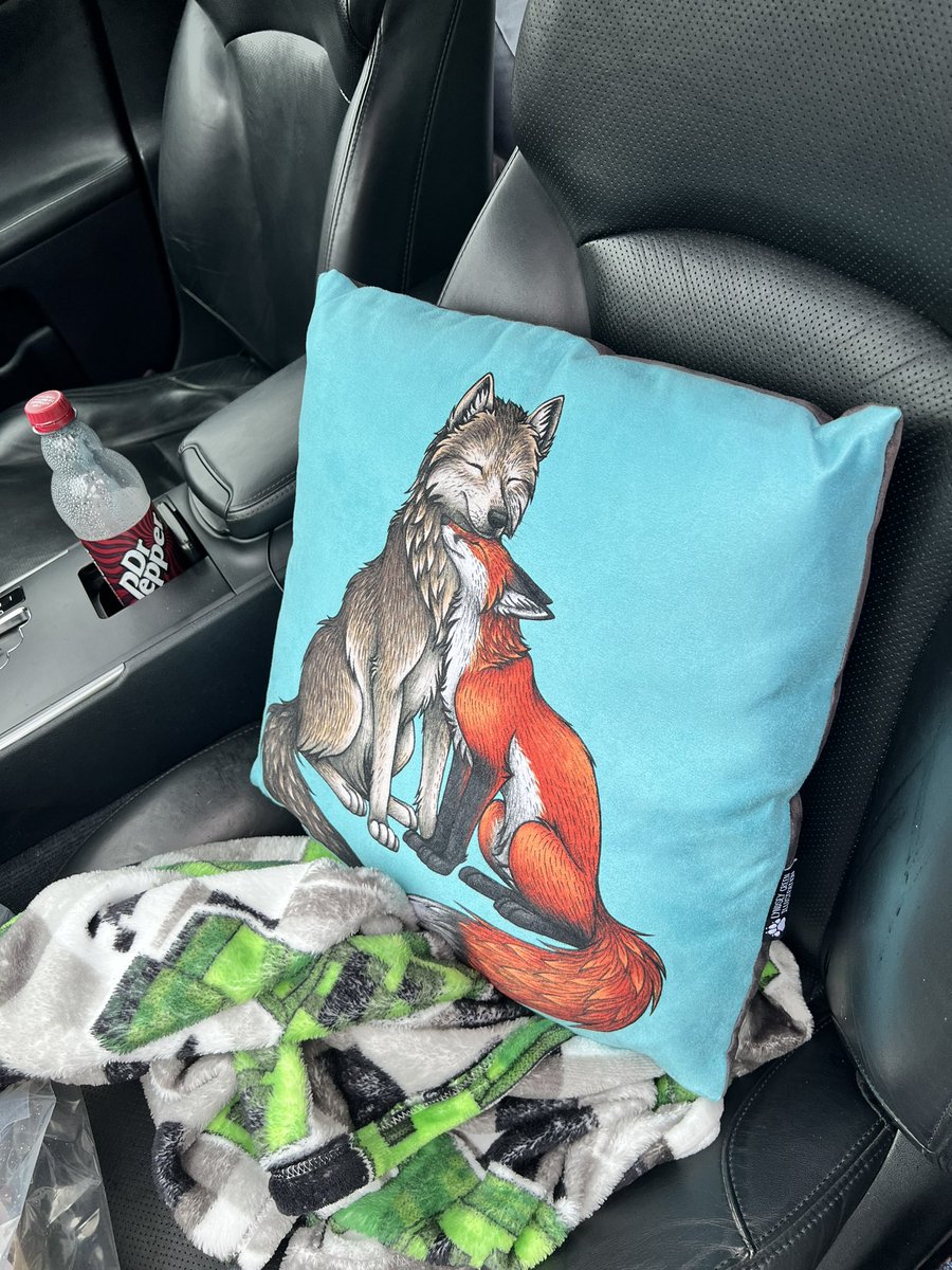 Comfiest set up for the ride homeee