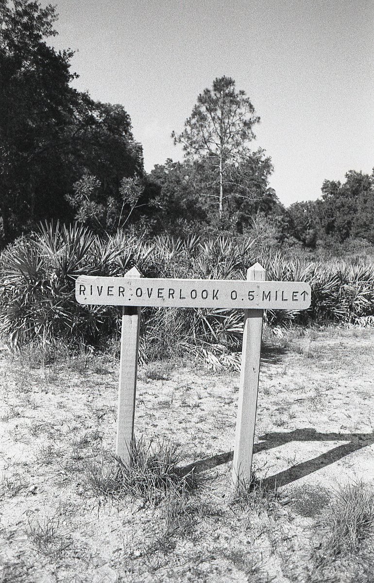 River Overlook
Minolta 650si
Agfa APX 400 expired 2010
Slightly pulled to iso 320
Legacy Pro L110 1+40
8 minute development time