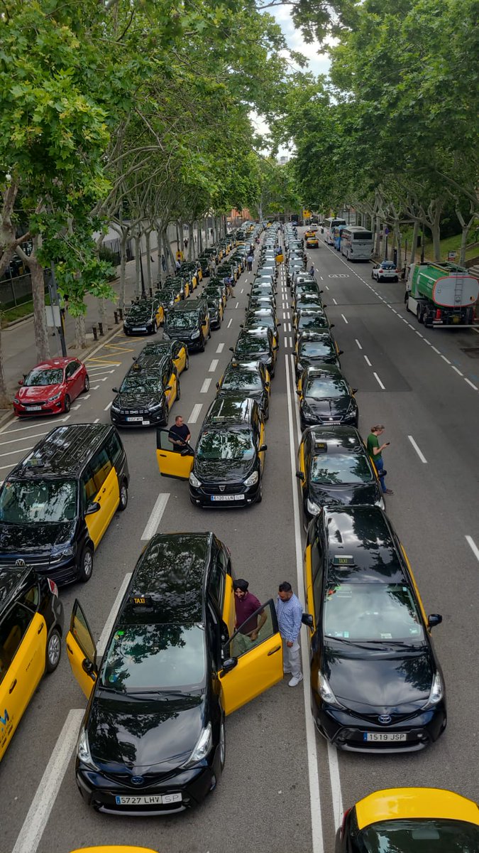 Mai fallen, sempre lluitem per la nostre feina.
<a href="/Elite_TaxiBcn/">Elite Taxi Barcelona</a>