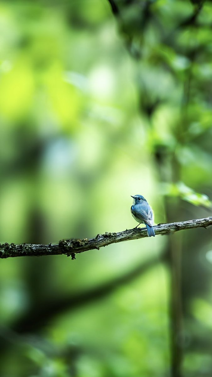 カワイイ子 見つけた！