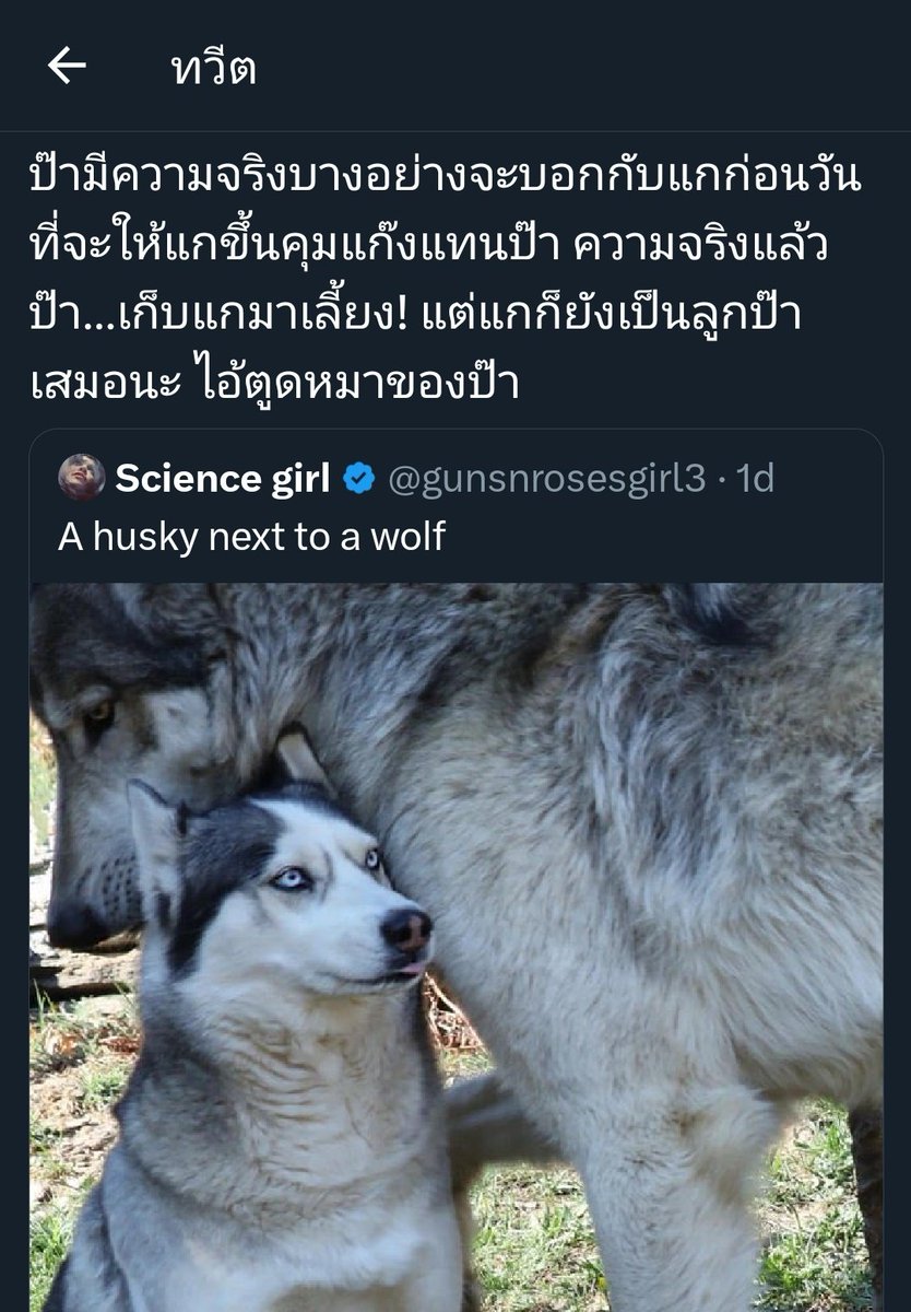 เซียนผมยาวเป็นแม่สาวผมหนา tweet media