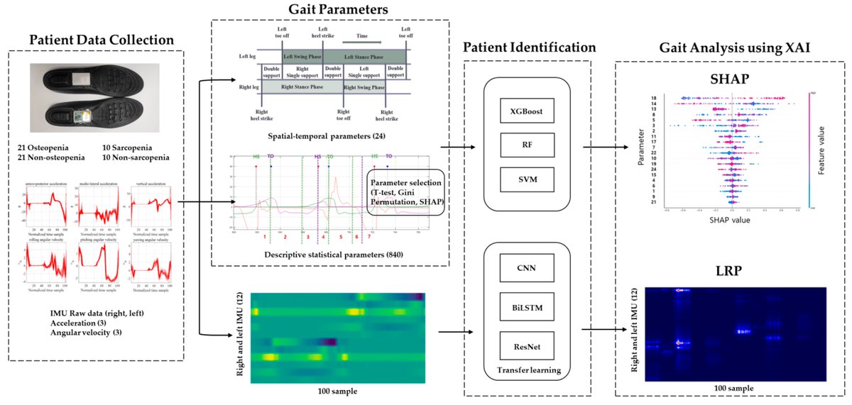 #Article
Explainable Artificial Intelligence and Wearable Sensor-Based Gait Analysis to Identify Patients with Osteopenia and Sarcopenia in Daily Life by Jeong-Kyun Kim, et al.
doi.org/10.3390/bios12…

@MDPIOpenAccess @ChemMatSci_MDPI @UST_Korea
#gaitanalysis #openaccess