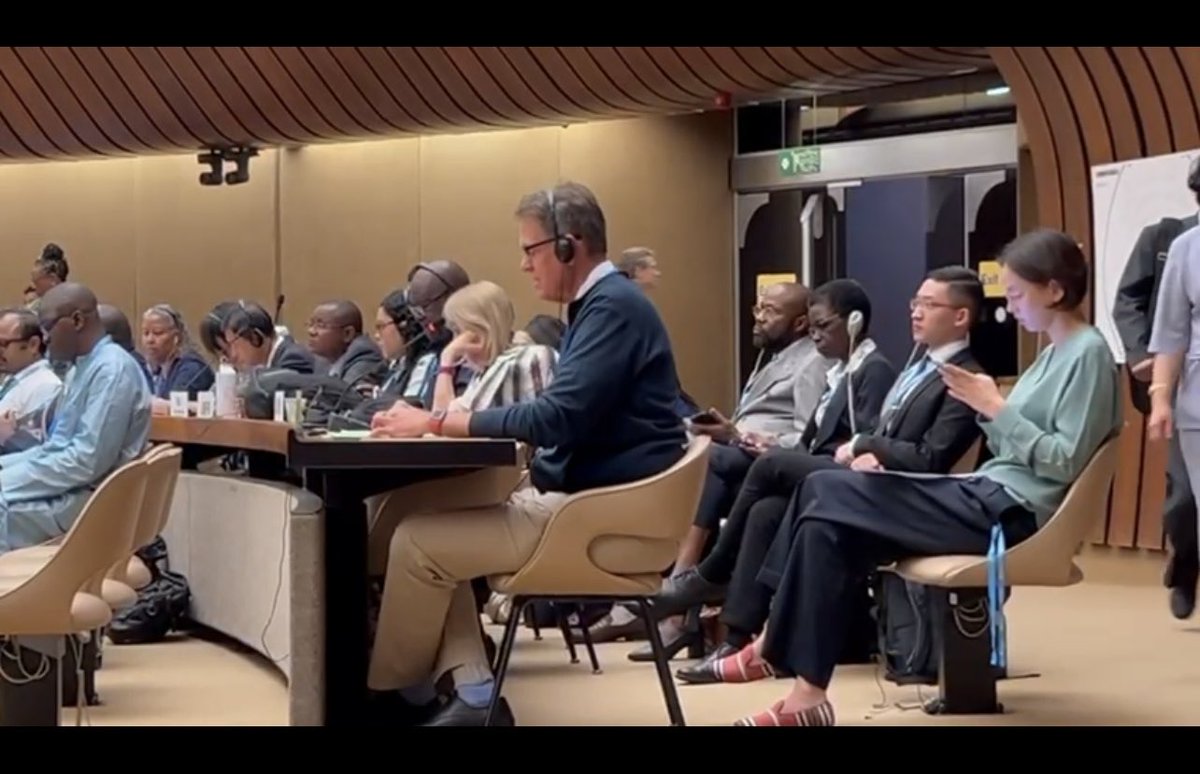 My 3 minutes of fame at #WHA77 advocating for the inclusion of palliative care for all including those in humanitarian crises. ⁦@IAHPC⁩ ⁦@whpca⁩ ⁦@PallChase⁩