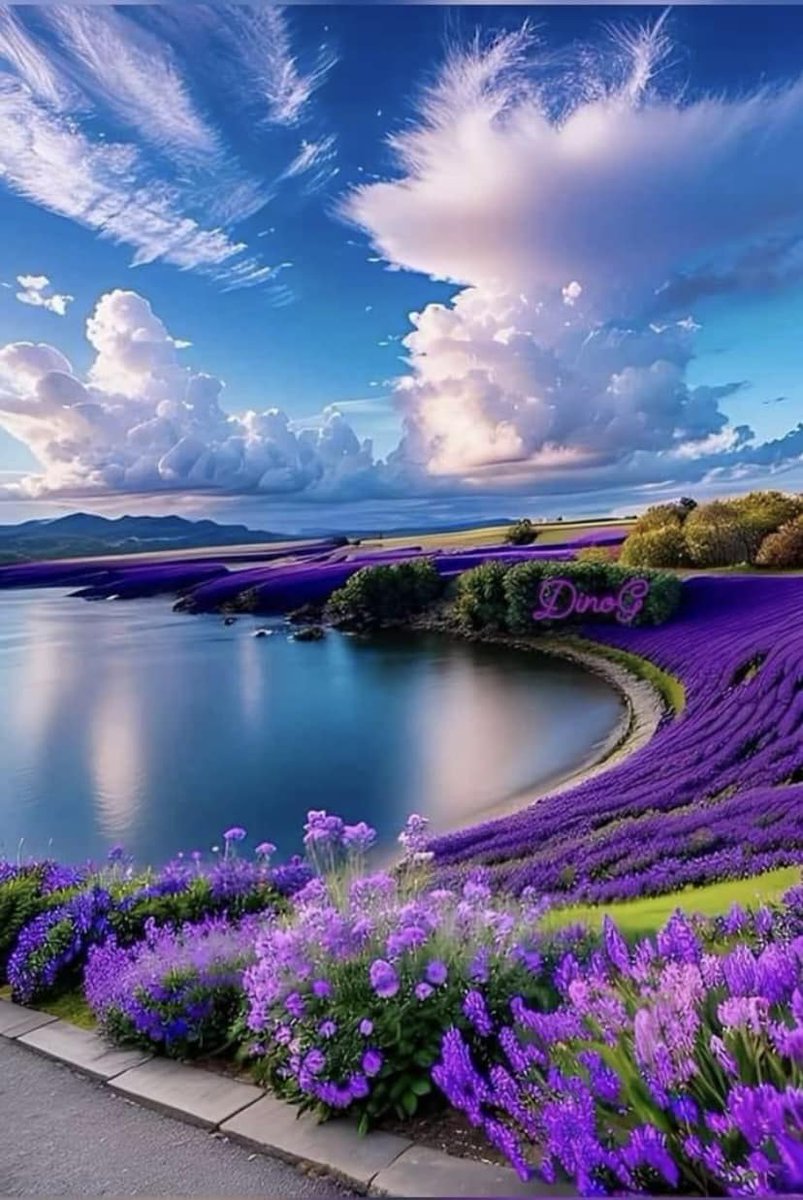 Ooo pretty. Love the purple ..🌺..