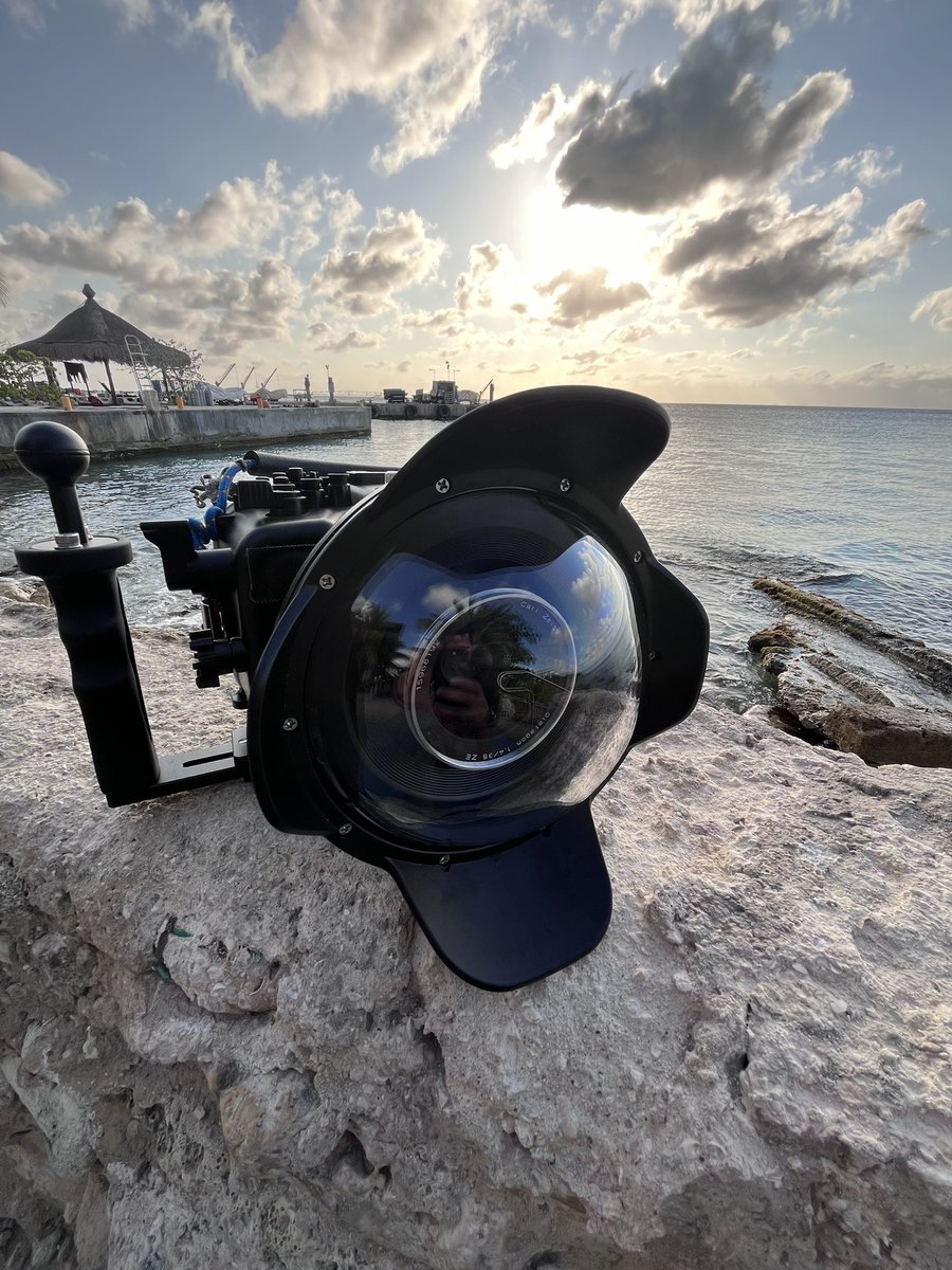 Lalodelacerda* tweet media