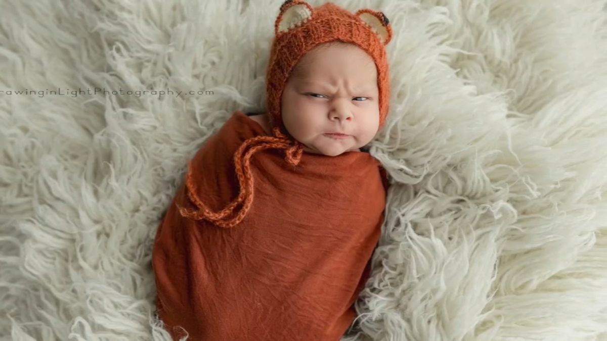Grumpy baby photoshoot goes viral: 'He was just scowling' 7ny.tv/4bzNwYA