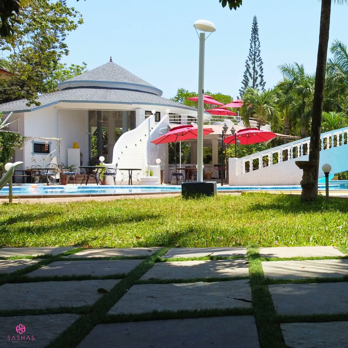 SashasHoliday's tweet photo. If size matters, then this pool is definitely the one to beat🏊‍♂️

#biggestpoolgoals #bubble_goa #pool #northgoa #sashasholidayvillage #biggestpool #anjuna #anjunabeach #vagator #vagatorbeach #bestholiday https://t.co/kpagmnz9mz