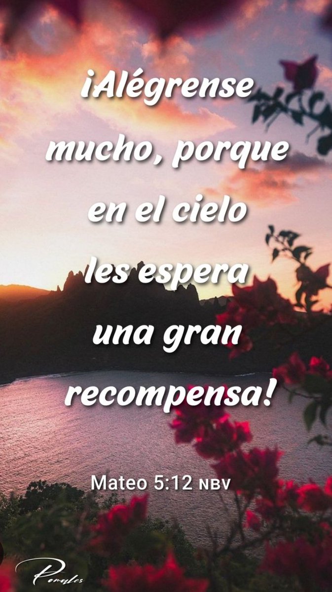 ¿Qué dice la Biblia? tweet media