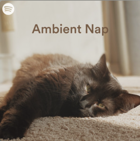 Ambient Playlist of the Day
AMBIENT NAP

tinyurl.com/2u6592j8

curated by
@LeCodeMusic

Thx4 adding
METRIC SYSTEM 1981 
tinyurl.com/jxppvk97

#ambient #ambientmusic #spotifyforartists #spotify #metricsystem1981 #playlist