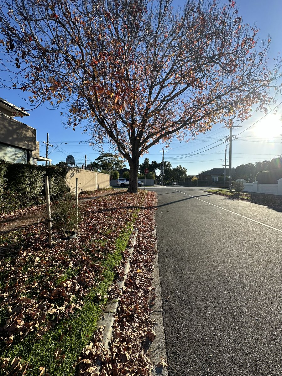 Scott McGregor tweet media