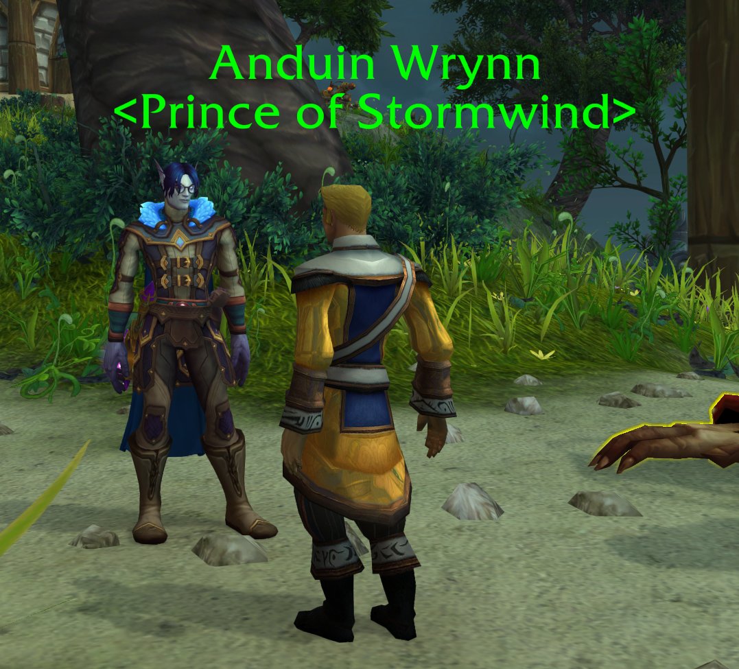 Anduin...why are you so shiny??