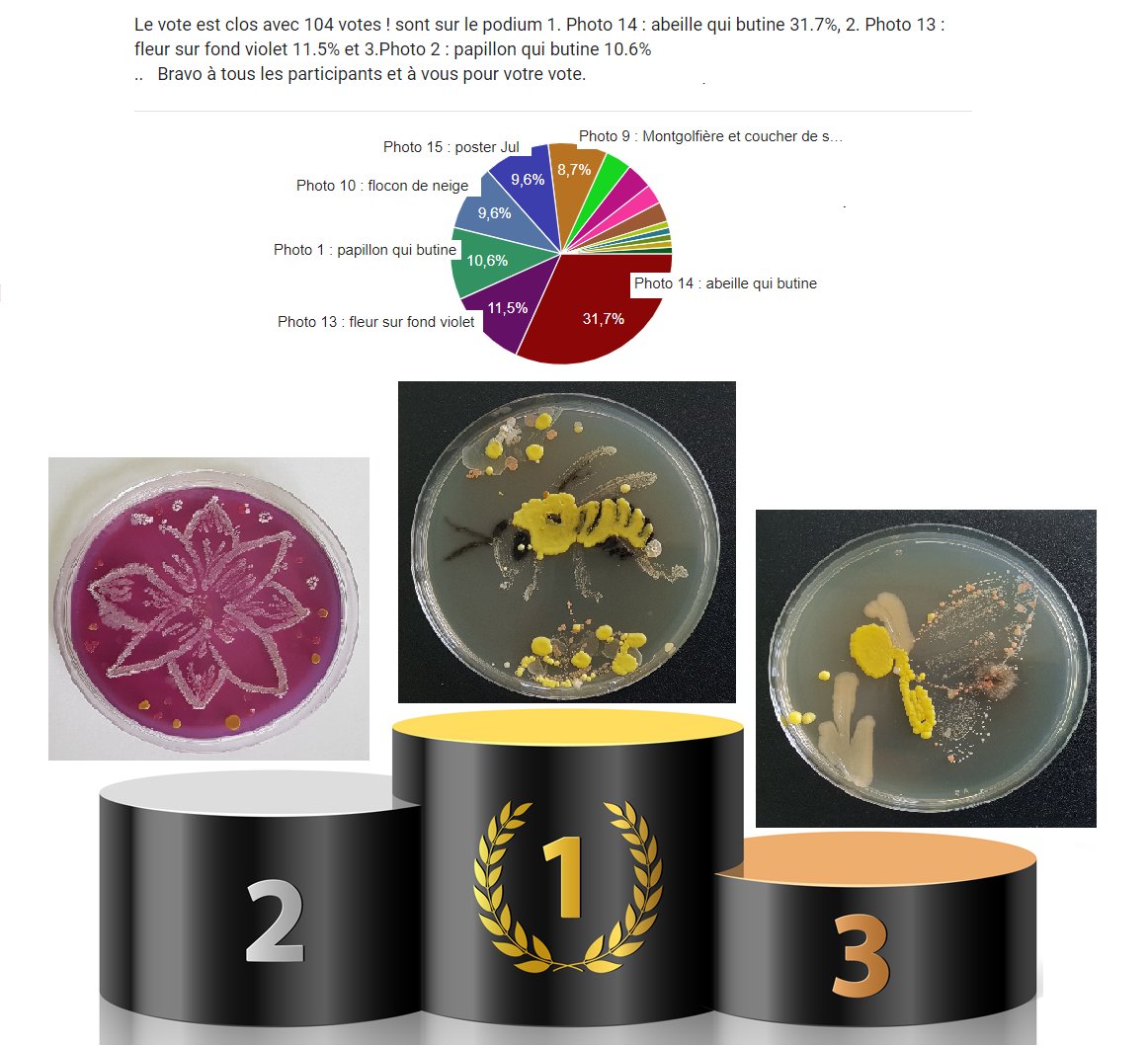 Festiv'Art 2024 Le printemps mis à l'honneur à travers les œuvres de nos élèves de STL et étudiants de BTS Biotechnologie au lycée la Découverte à Decazeville. 🏆 Félicitation à Ludivine Bio1🥇 , Laura 🥈 et  Elisa  1ère STL  🥉decouverte.mon-ent-occitanie.fr/projets-biotec…… #biotech
<a href="/dest_BTK/">Destination Biotech</a>