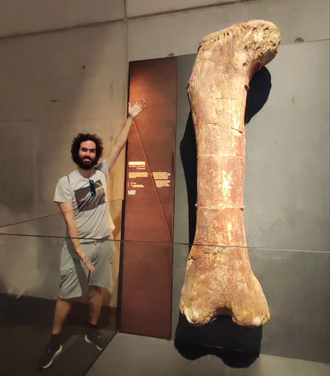 Fémur de Patagotitan (mido 1,93m) 😱🦕 Cosmocaixa, Barcelona

#paleontology #paleontologist #argentina