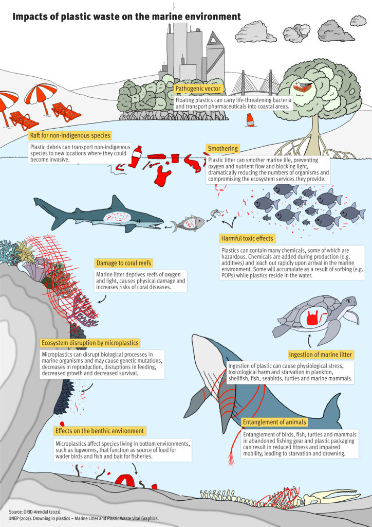 Given the persistent nature of plastic and its toxicity, plastic pollution is a significant threat to biodiversity.

"Plastics and Biodiversity at a Glance"

rb.gy/xq4fnt 
<a href="/ChemandWaste/">SAICM</a> <a href="/UNEP/">UN Environment Programme</a>