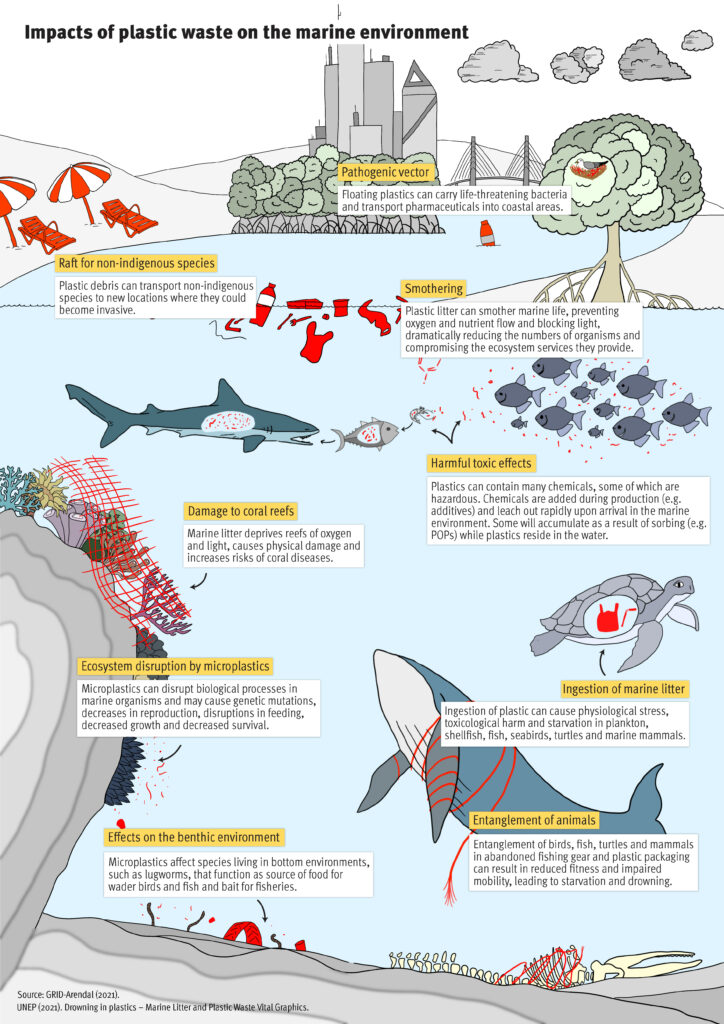 Given the persistent nature of plastic and its toxicity, plastic pollution is a significant threat to biodiversity. 'Plastics and Biodiversity at a Glance' rb.gy/xq4fnt @ChemandWaste @UNEP