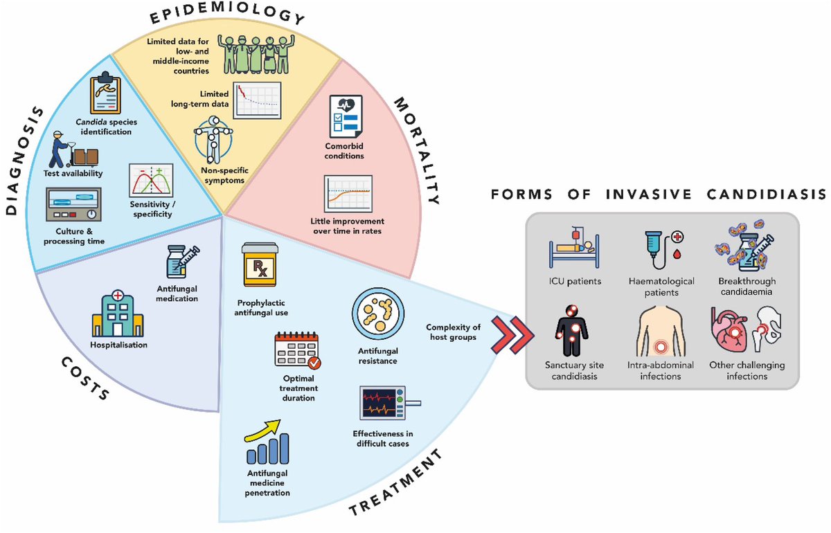 Revisión #CandidiasisInvasiva 🍄🩸en #JAC, entidad con alta mortalidad📈⚰️, se desglosa su manejo en: -UCI -Hematologicos🩸 -Candidemia de brecha💊🍄💉 -Candidiasis en santuarios🧠👁️ -Infección intraabdominal -Otros🫀🦴🫁 Además diagnóstico🔎y retos 🔗🆓👉🏻academic.oup.com/jac/article/78…