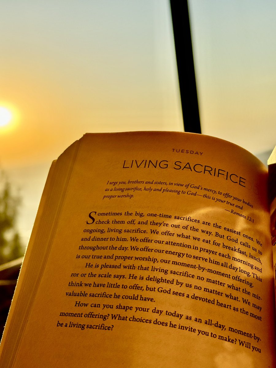 thee_zee's tweet photo. Day 28.

Gratitude • Blessings • Happiness 

More Love | More Blessings | More Life 

#ReadingDiaries #MorningRead https://t.co/t5rFNcLsdx