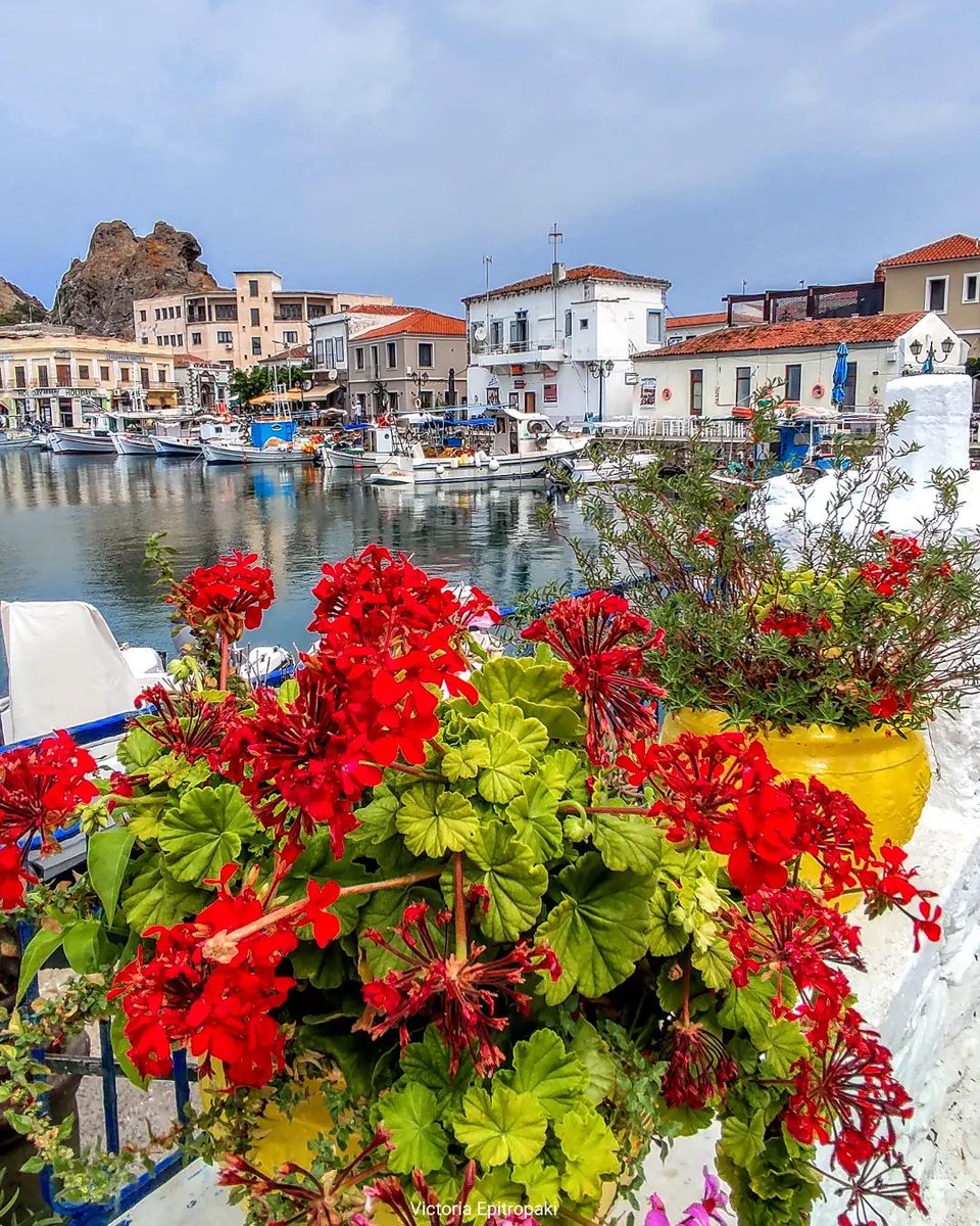 #Myrina, the capital of #Lemnos, was, according to Greek mythology, the woman of the first king of Lemnos, #Thoas. Visitors are charmed by the beautiful old harbor, the neoclassical mansions, fountains & narrow streets that compose the setting of Myrina. 🇬🇷
📷 victoria_epitropaki