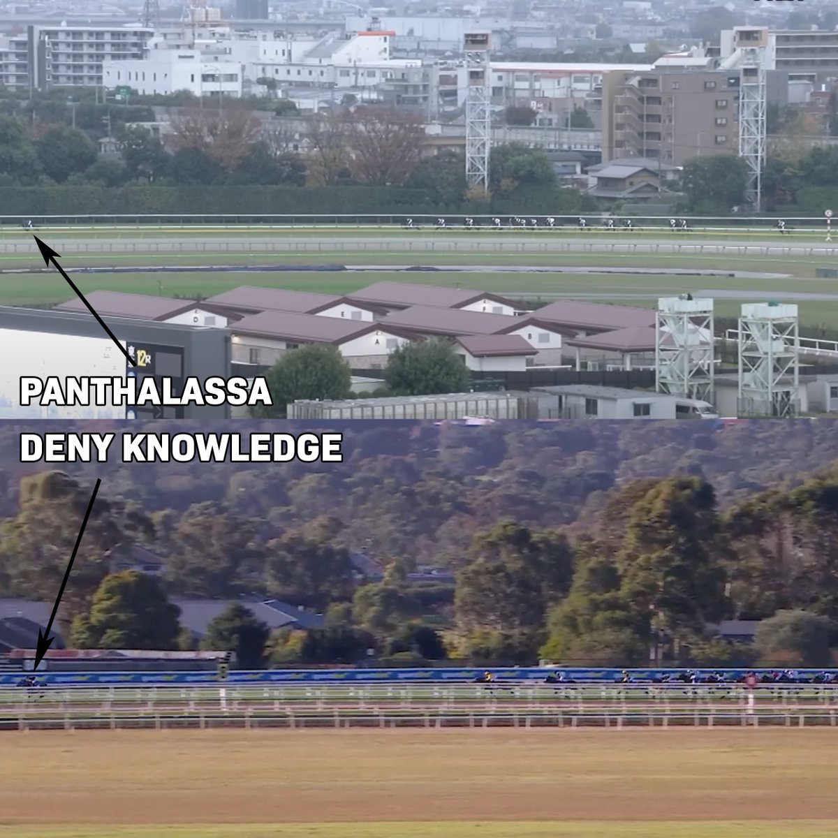 Andrew Hawkins (@andrewnjhawkins) on Twitter photo Deny Knowledge bought from <a href="/mmsnippets/">Magic Millions</a> to visit Panthalassa. Hope they try runaway tactics on the resulting foal...
#γγ³γ΅γ©γγ΅ #竢馬 Deny Knowledge bought from <a href="/mmsnippets/">Magic Millions</a> to visit Panthalassa. Hope they try runaway tactics on the resulting foal...
#γγ³γ΅γ©γγ΅ #竢馬