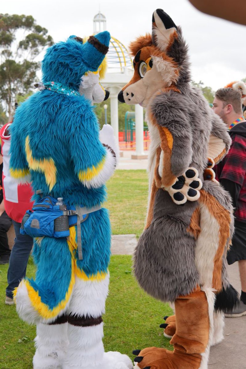 DannoDoggo's tweet image. Discussing very important dog matters with @CopperYopper
📷 @JakuzziRedPanda 
🧵 🐕 @SpaceGoatCo